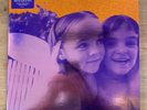 Siamese Dream by The Smashing Pumpkins (Vinyl, Nov-2011, 2 Discs, Virgin)