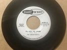 Montereys DOOWOP 45 I'll Love You Again / The American Teens  EASTWEST PROMO VG+