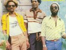 VICEROYS, The - We Must Unite - Vinyl (LP)
