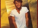 ANDY GIBB - Greatest Hits (Vinyl LP) 1980 RSO RX-1-3091