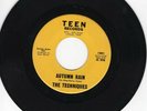 Teqhniques 45 Autumn Rain/Dream Theme TEEN M- rockabilly R&B surf inst 169