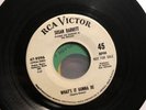 SUSAN BARRETT 45 What’s it Gonna Be / No Secret 1967 Mod Northern Soul Promo