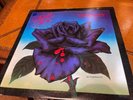 Thin Lizzy Black Rose LP Record 1st Issue Warner Brothers 1979 Nice Copy