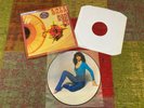 Kate Bush The kick inside, LP, Vinyl, Picture Disc