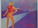 Roger Waters (Pink Floyd solo) Pros and Cons of Hitchhiking lp original cover