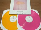 JOY DIVISION Amsterdam 2LP VINYL Color Vinyl Full Concert Paradiso CLUB Mint