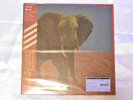 FOOD BRAIN-SOCIAL GATHERING-JAPAN LP Ltd/Ed +Tracking number