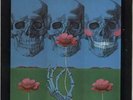 The History Of The Grateful Dead Grateful Dead vinyl LP album record USA
