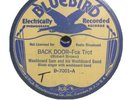 WASHBOARD SAM - BACK DOOR / WE GONNA MOVE - PREWAR BLUES - BLUEBIRD - 78 RPM