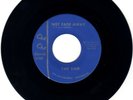 THE END – NOT FADE AWAY - GARAGE – ROCK (1966) (HEAR) ORIGINAL 45 RPM