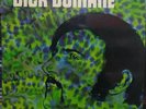 Dick Domane - Dick Domane, vinyl LP album [nuovo mai ascoltato]