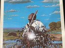 Freddie King  Texas Cannonball  Vinyl LP  Shelter Records SW-8913  1972 Original