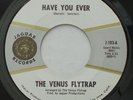Psych Bay Area THE VENUS FLYTRAP Have You Ever / The Note VG+ JAGUAR 45 HEAR