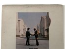Pink Floyd. Wish You Were Here. 1975. Made In Italy. Perfetto.