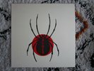 Spider - LP - rare 2000's weird garage punk THE SPITS
