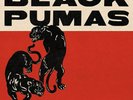 Black Pumas (2LP Vinyl + 7