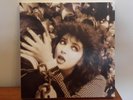 KATE BUSH REMASTERED IN VINYL 1 4 X VINYL BOX (Released November 16th 2018)