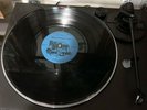 Men At Work & Billy Idol ?– King Biscuit Flower Hour, October 10, 1982