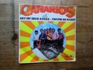 Canarios Get On Your Knees 7