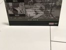 Nirvana Bleach Promo Shop Display HMV
