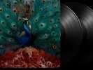 Opeth: Sorceress 180g Black Vinyl LP. Blackwater Park. Pale Communion. Damnation