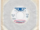 THE DESCENDANTS Garden Of Eden / Lela MTA MINT UNPLAYED GARAGE 45