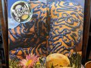 Jellyfish - Bellybutton, BLUE Vinyl LP, 2012 Omnivore Reissue, Z-fold cover