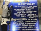 Buddy Holly Rave On Limited Edition Vinyl Record 2LP 180 Gram U-941