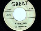 The Moonbeams VERY RARE Pittsburgh doo wop 45rpm 
