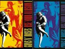 guns n roses use your illusion (1 and 2) vinyl. Both New and Sealed