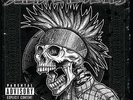 Suicidal Tendencies-Still Cyco Punk After All Thes VINYL NEW