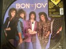 Bon Jovi Slippery When Wet Picture Disc LP Record Mercury 1986