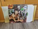 David Bowie - Diamond Dogs Vinyl LP - Near Mint 1981 UK RCA GREEN Label REISSUE