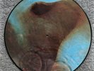PINK FLOYD MEDDLE 12” PICTURE DISC SHVL 795-P