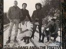 Rare Punk 7” Vinyl - Violators Gangland No Future Records Insert Skinhead Oi