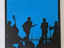 Jack White - Acoustic Tour 2015, Third Man Records, Vinyl LP Set, Vault 28, NM+
