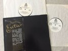 Madonna Erotica PROMO 12 Inch PRO-A-5860 Vinyl  X2