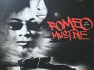 VinylLP  AALIYAH Romeo Must Die - The Album 2LP   EX Blackground 33rpm 12in?R57?