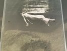 Jim Hall & Bill Evans UNDERCURRENT Mobile Fidelity Sound Lab MFSL Audiophile LP