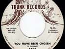 Local TX Hippie Psychedelia SAGE You Have Been Chosen 45 Trunk HEAR