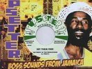 Lee Perry And The Sensations - Set Them Free / Don't Blame The Children  (7