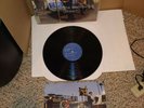 Vintage 2000 The Wallflowers (Breach) Vinyl Record,Interscope Records,Near Mint