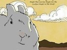 ANDREW JIHAD JACKSON - People Who Can Eat People Are Luckiest People [vinyl]