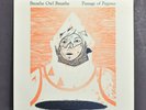 Breathe Owl Breathe Passage Of Pegasus SIGNED Vinyl Record 461/1000