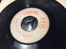 KARL BRYAN/ SOULCATS “reggae got soul”/“land of love” rare reggae JUNIOR RECORDS