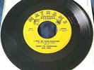 Norris the Troubadour -I Will Be Your Rooster 45 Mayhams unknown rockabilly HEAR