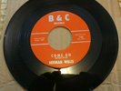 RARE DOO WOP 45...HERMAN WILLIS....COME ON / FOREVER IN LOVE...B&C 100...VG++/M-