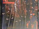 Del Tha Funkee Homosapien 'I Wish My Brother George Was Here'(Vinyl Record[2LP])