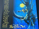 Iron Maiden ?– Fear Of The Dark Vinyl LP