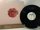 Black Moth Super Rainbow - Lost Picking Flowers In The Woods Vinyl EP RARE